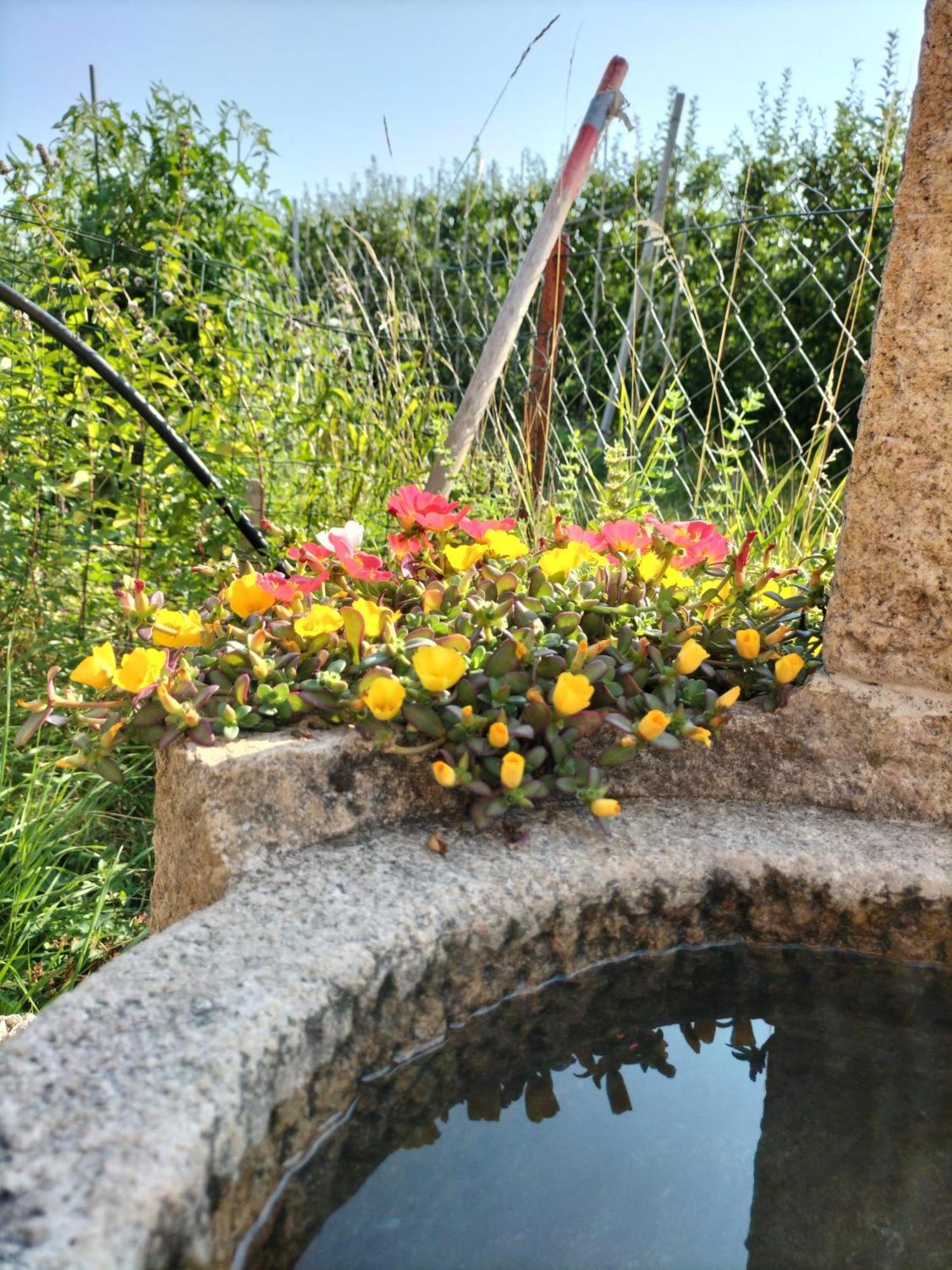 I Girasoli Sanzeno Zewnętrze zdjęcie