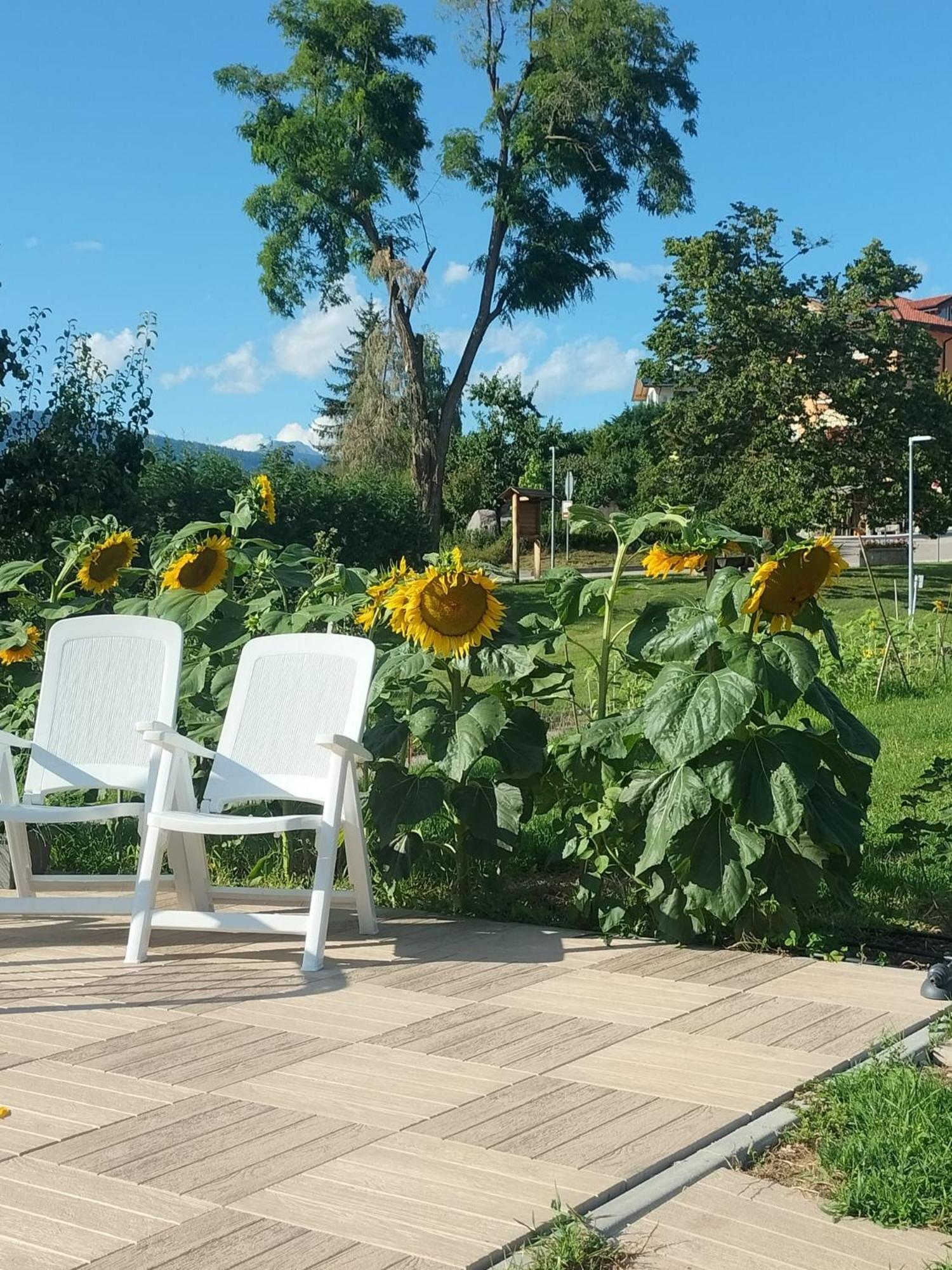 I Girasoli Sanzeno Zewnętrze zdjęcie