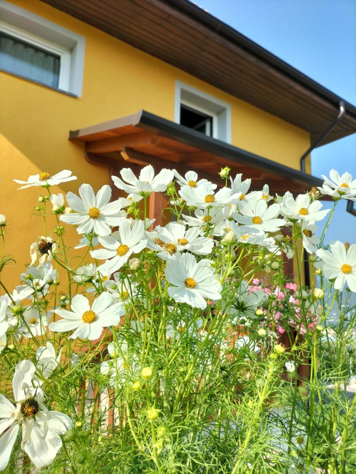I Girasoli Sanzeno Zewnętrze zdjęcie